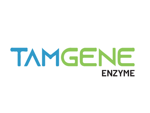 enzyme